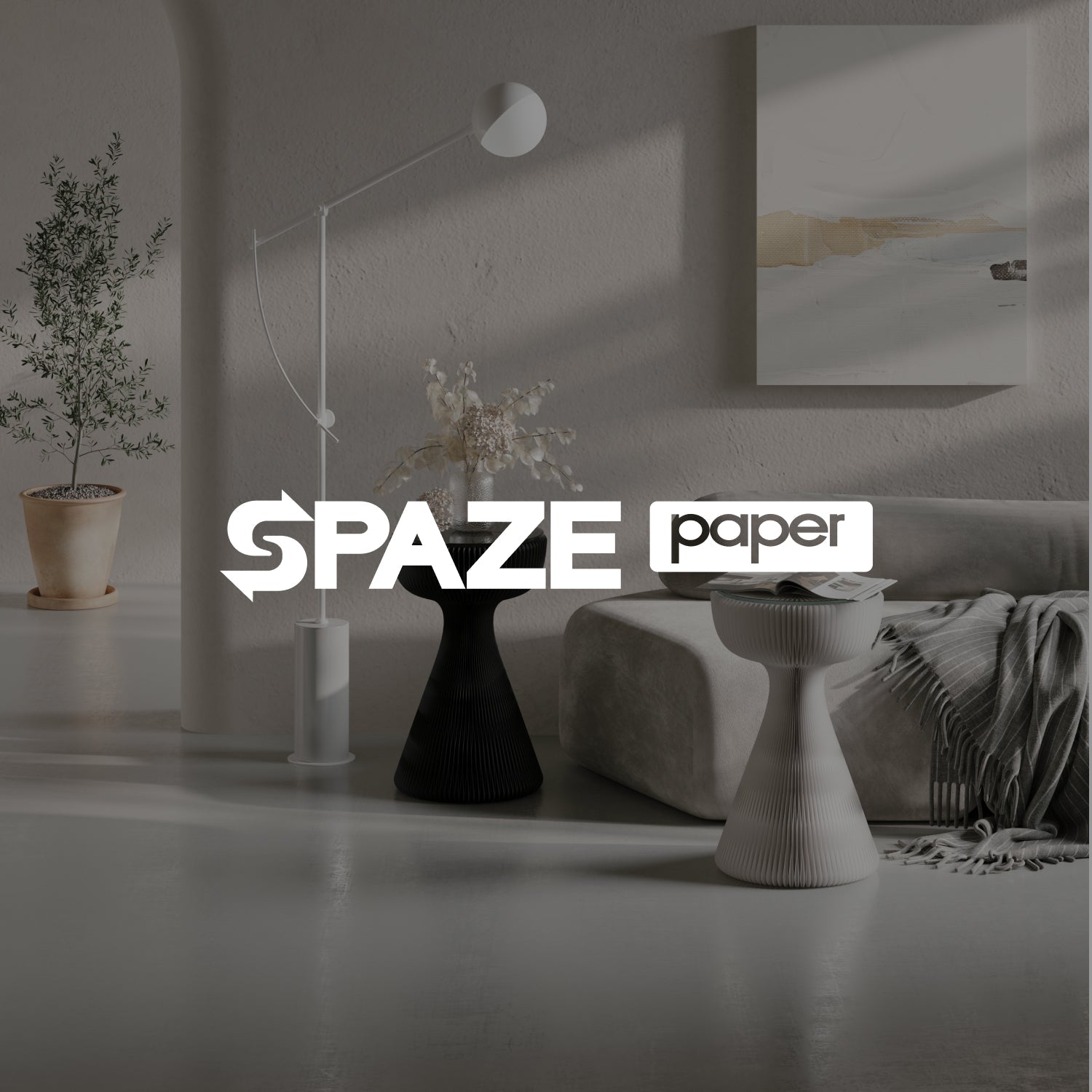 spaze paper