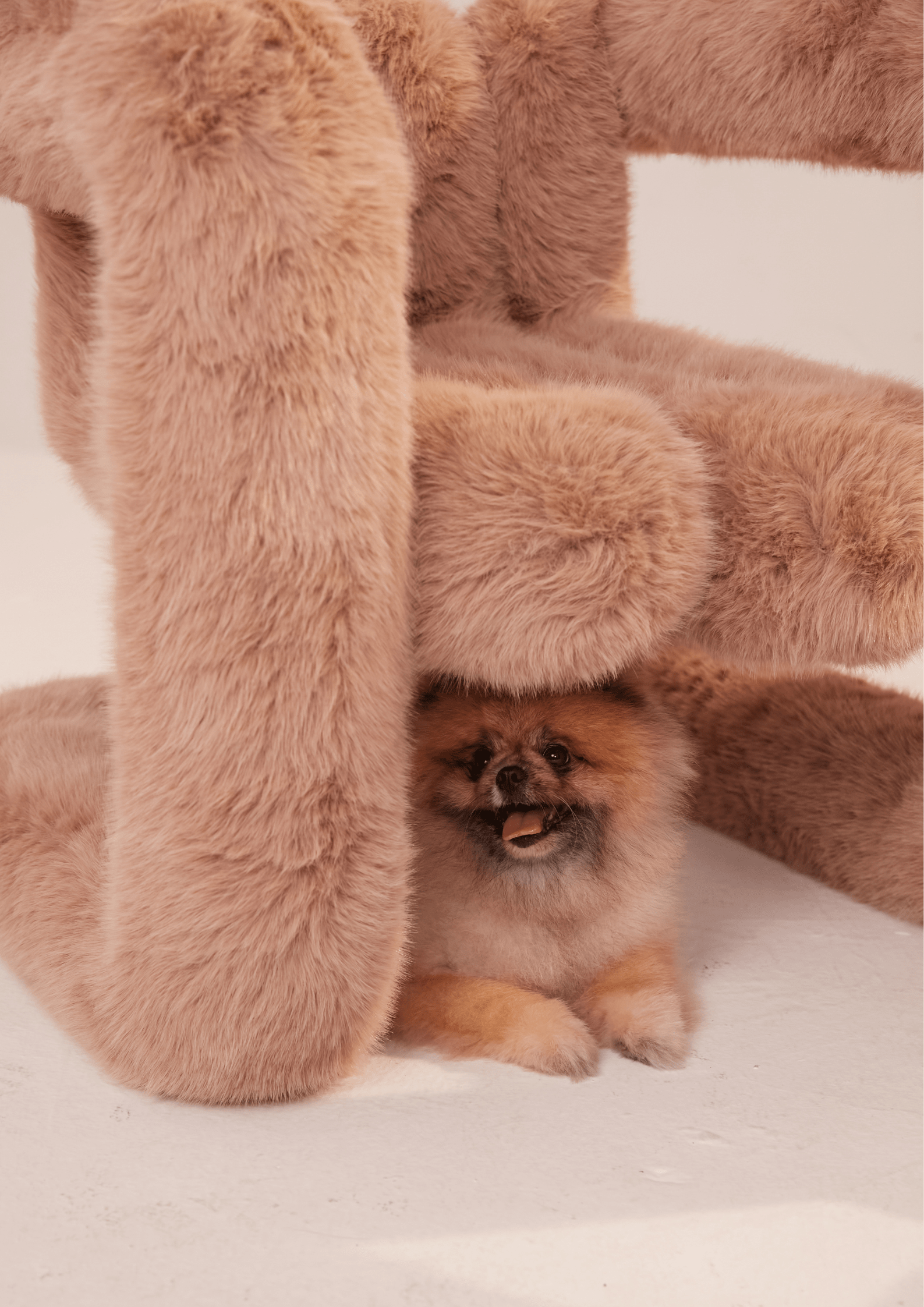 36.5°C - Medium Chair - artamore